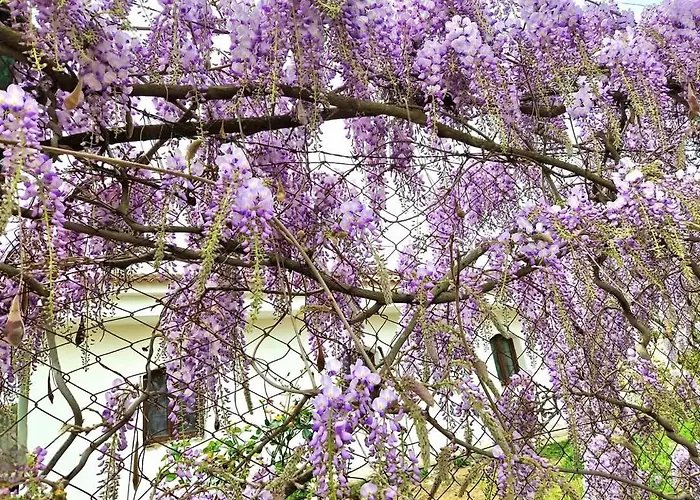 Arcos * コルドバ